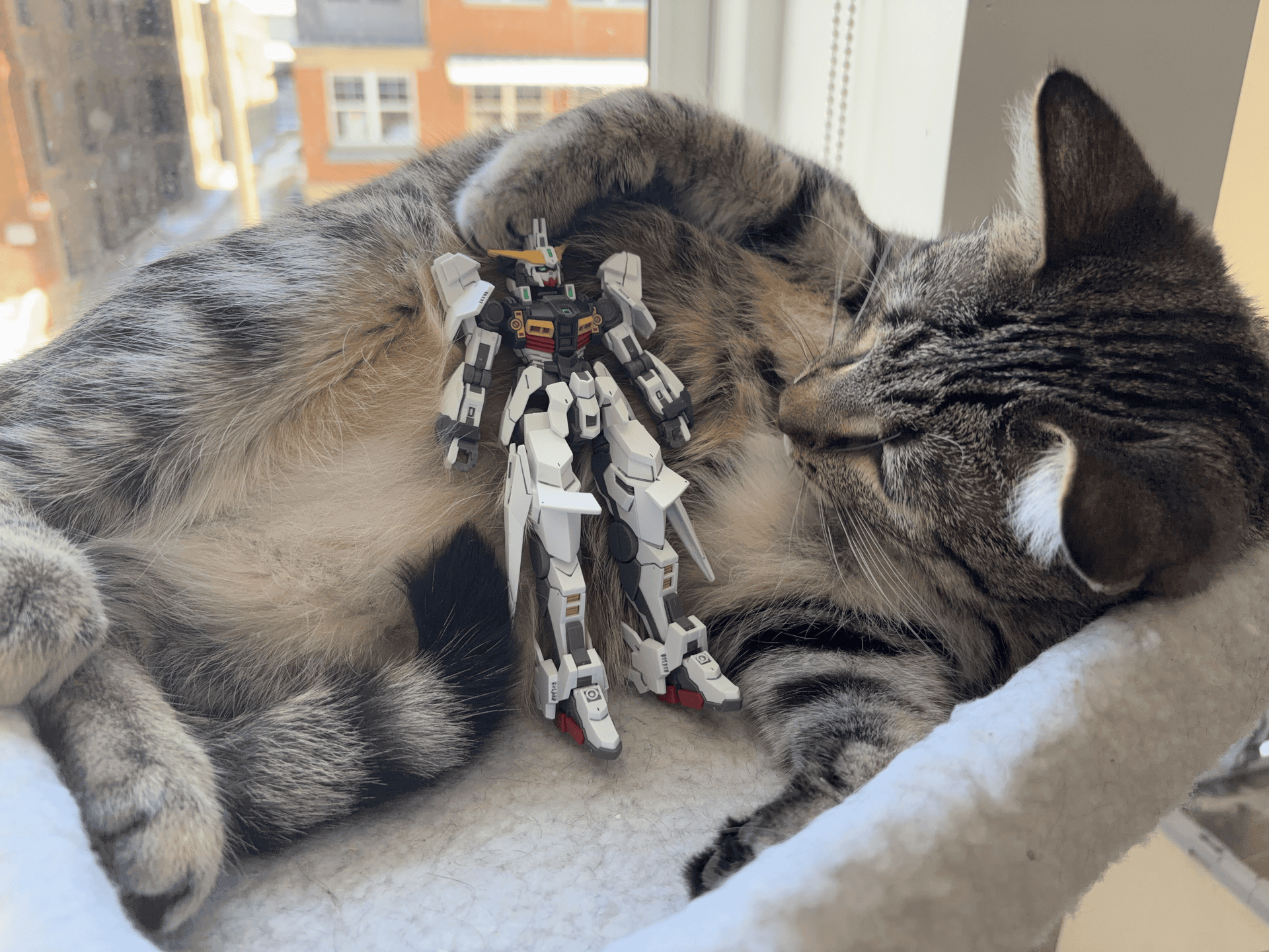 The RG Wing Zero TV posed in my main room but the photo's, like, edited.